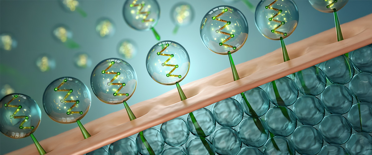 Rejenerasyonun Görünmeyen Mimarları: Bitki Eksozomları Doğanın İyileştirici Kodunu Nasıl Taşır