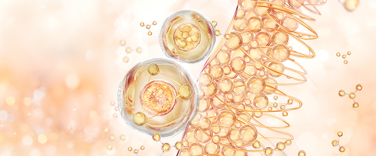 Doğanın Moleküler Elçileri Bitki mikroRNA’larının Biyolojik Sistemlerdeki Yolculuğu